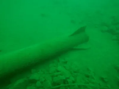 Lom Velká Amerika, fotografie 189