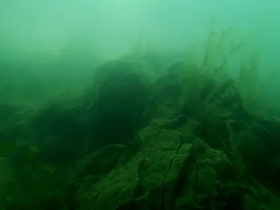 Lom Horní Cerekev, fotografie 136