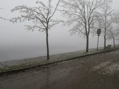 Sušský rybník, fotografie 4