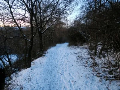 Lom Radslavice, fotografie 4