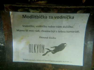 Dalešice - Wilsonka, fotografie 41