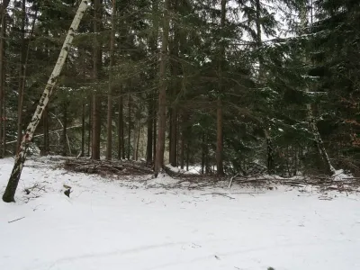 Lom Arcibiskupský - Vápenná, fotografie 9