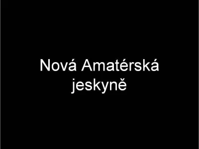 Plazivá kačena, fotografie 3