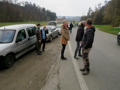 Plazivá kačena, fotografie 6