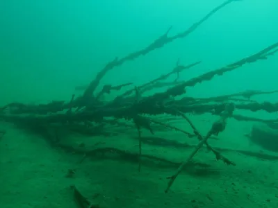 Lom Borek, fotografie 28