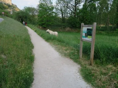 Jeskyně Emergence du Ressel, fotografie 35