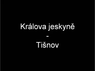 Plazivá kačena, fotografie 3