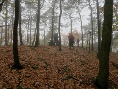 Plazivá kačena, fotografie 19