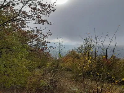 Plazivá kačena, fotografie 39