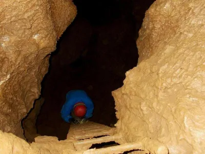 Plazivá kačena, fotografie 105