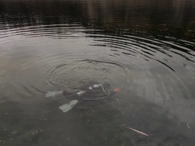 Lom Janičův vrch, fotografie 6