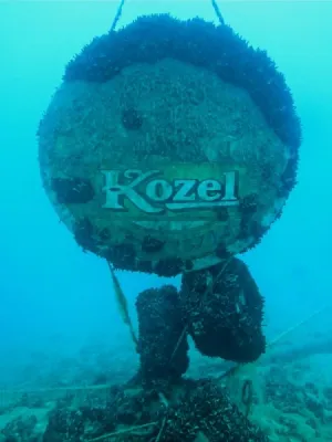 Lom Velká Košariska, fotografie 53