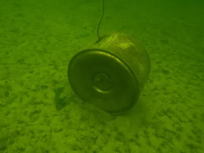 Vranovská přehrada - Pláž, fotografie 41