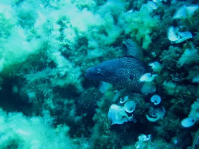 Elba - Madona, fotografie 121