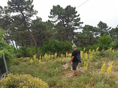 Elba - Monte Perone, fotografie 11