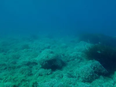 Elba - pláž Terranera, fotografie 20