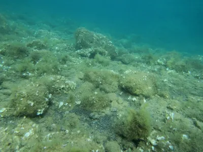 Elba - pláž Terranera, fotografie 55