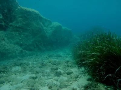 Elba - Sant´ Andrea, fotografie 37