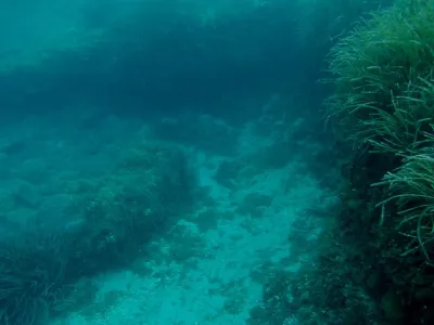 Elba - Sant´ Andrea, fotografie 58