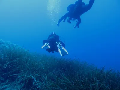 Elba- Corallina Interna, fotografie 9