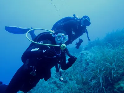Elba- Corallina Interna, fotografie 10