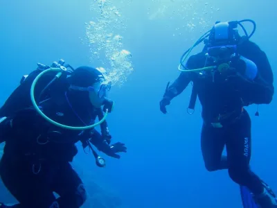 Elba- Corallina Interna, fotografie 13
