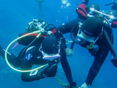 Elba- Corallina Interna, fotografie 29