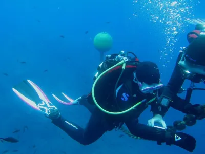 Elba- Corallina Interna, fotografie 30