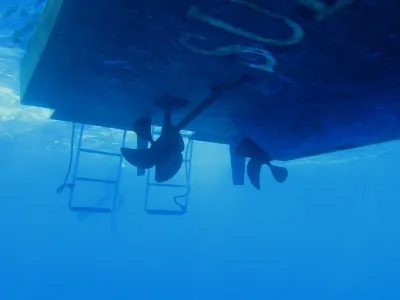 Elba- Corallina Interna, fotografie 31