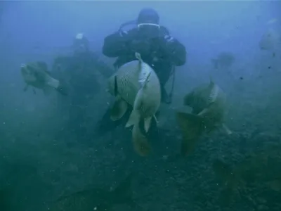 Lom Čierna voda, fotografie 118