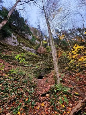 Plazivá kačena, fotografie 12