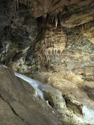 Plazivá kačena, fotografie 17