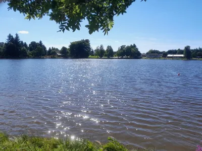Sušský rybník, fotografie 10