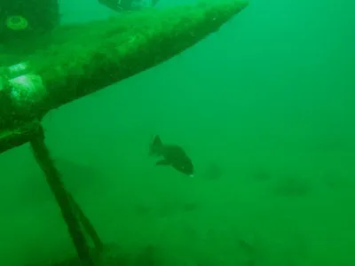 Lom Hostěradice, fotografie 23