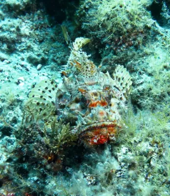 Stará Novalja - Chorvatsko, fotografie 94