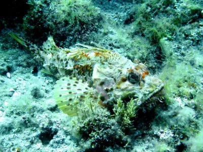 Stará Novalja - Chorvatsko, fotografie 95