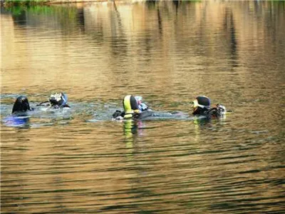 Horka Německo, fotografie 22