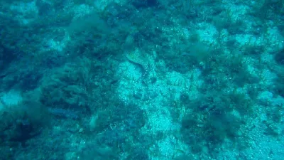 Elba - Itálie, fotografie 33
