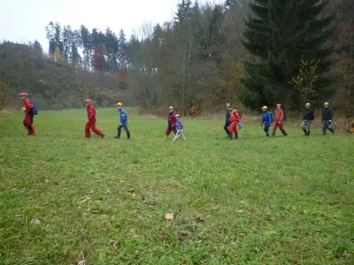 Plazivá kačena, fotografie 14