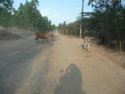 Potápění Vietnam, fotografie 10