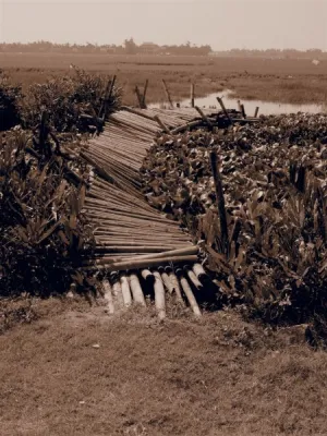 Potápění Vietnam, fotografie 28