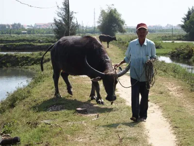 Potápění Vietnam, fotografie 29