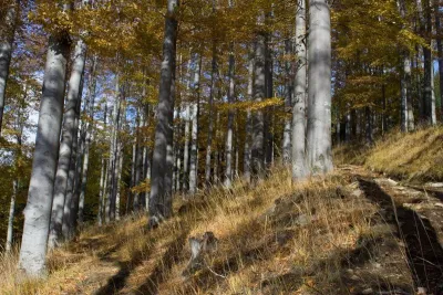Svobodné Heřmanice, fotografie 21