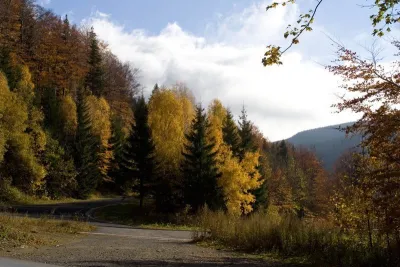 Svobodné Heřmanice, fotografie 24