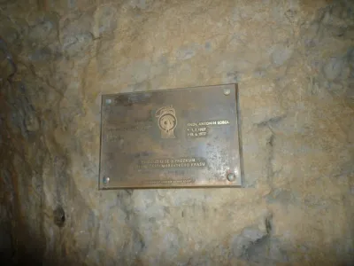 Plazivá kačena, fotografie 25