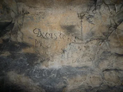 Plazivá kačena, fotografie 34
