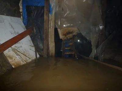 Plazivá kačena, fotografie 144