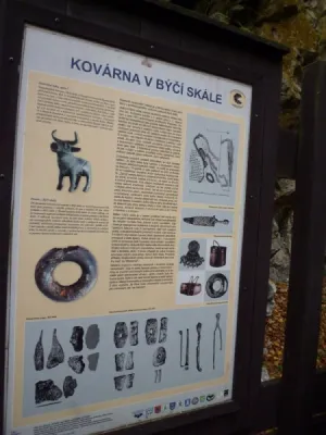 Plazivá kačena, fotografie 170