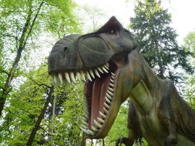 DinoZatorland - Polsko, fotografie 6