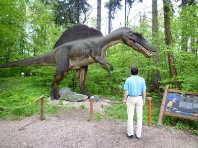 DinoZatorland - Polsko, fotografie 17